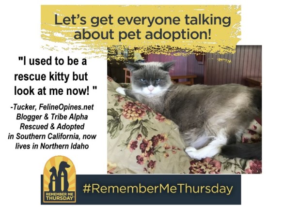 Tuck_LookATMeNow_Frame