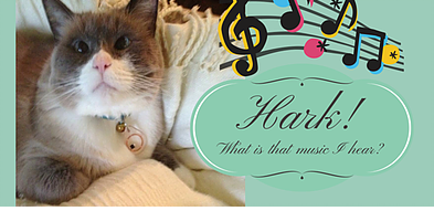 Siamese cat listens to music