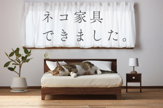 cat sleeping on miniature furniture made for felines