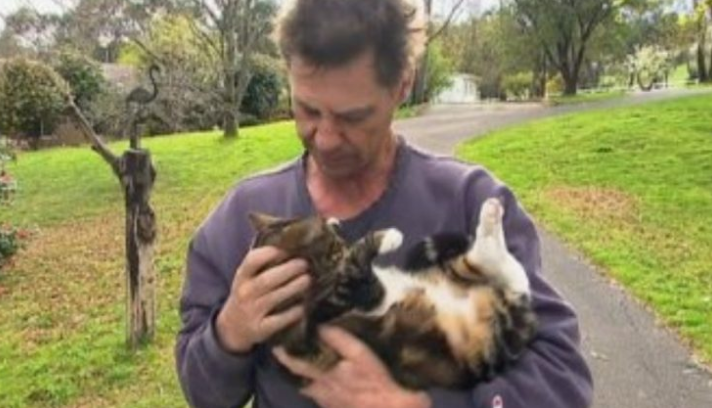 tabby saves owner from fire