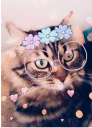 snapchat cat face feature