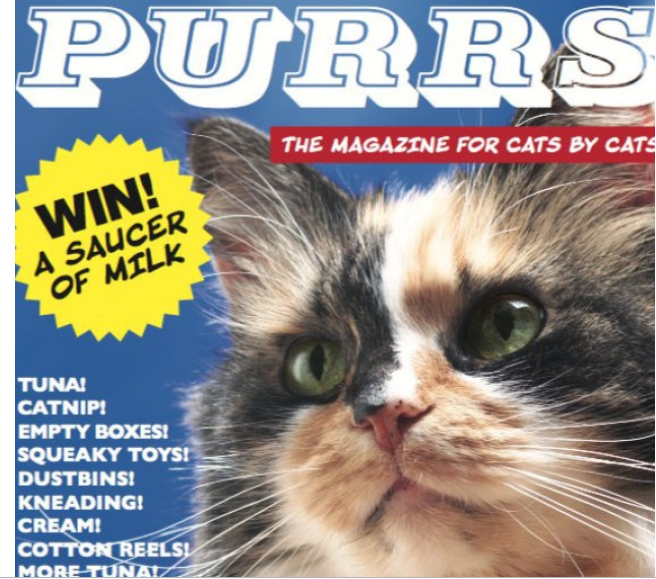 magazine by cats for cats