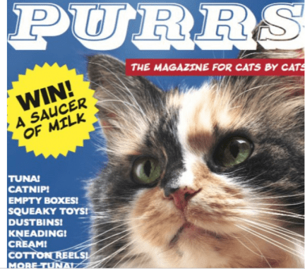 magazine by cats for cats