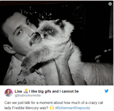 freddie mercury and his simese cat