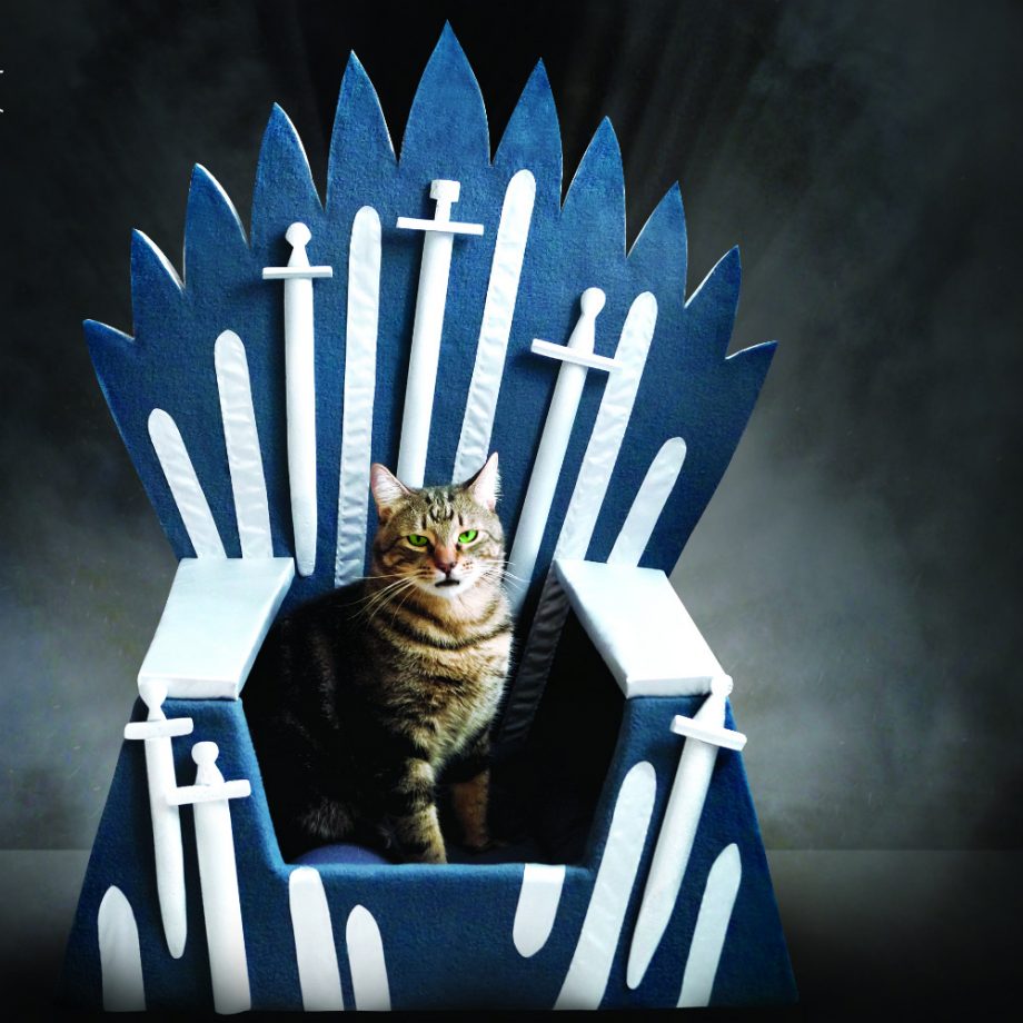 Cat-bed-iron-throne-2-920x920
