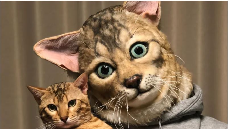cat mask for humans