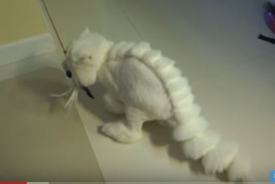 dino cat cat grooming trend