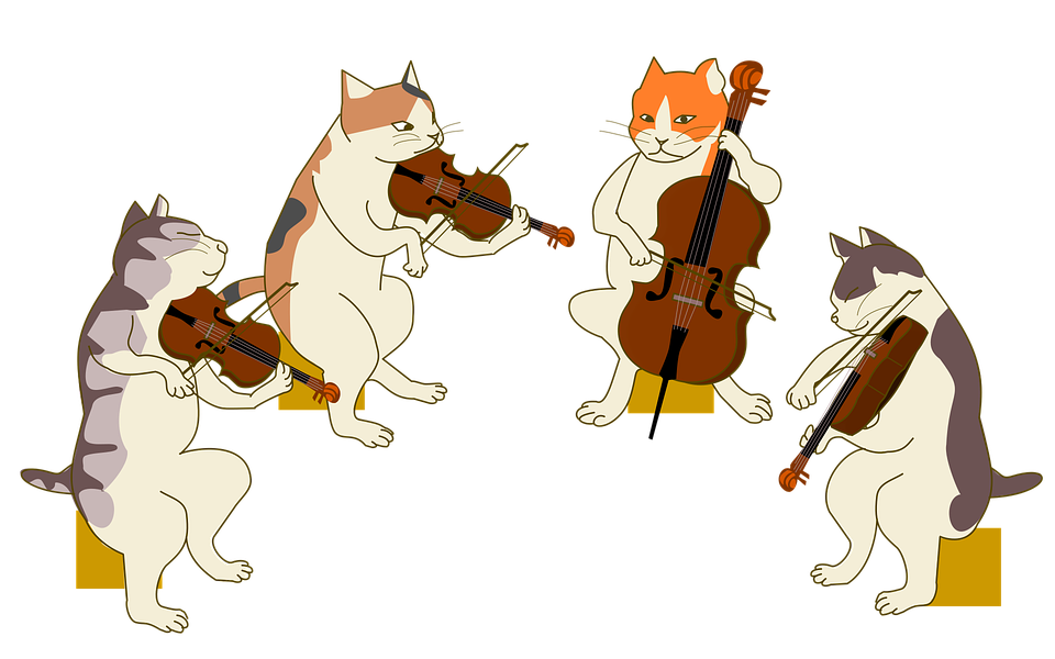 OrchestraCats