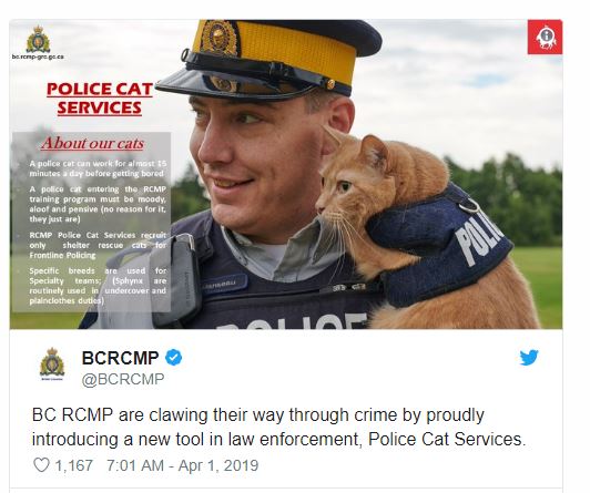 PoliceCat