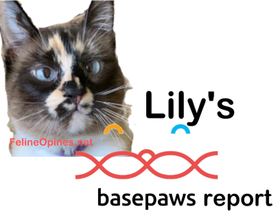 cat basepaws dna results