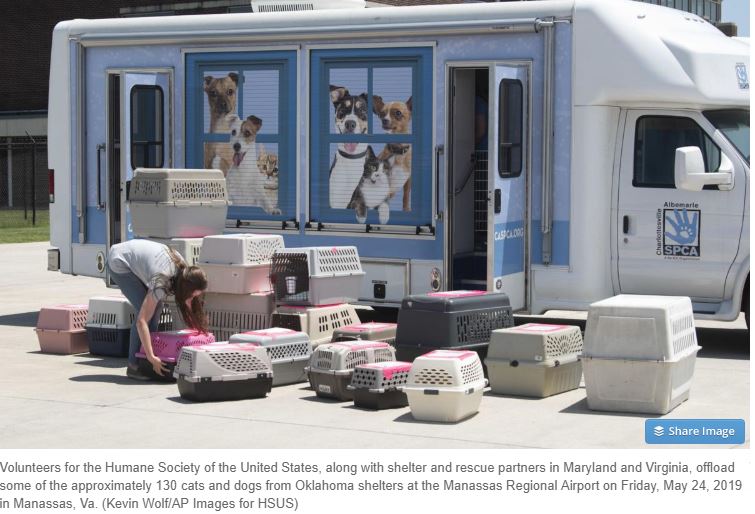 OklahomaStornVictims