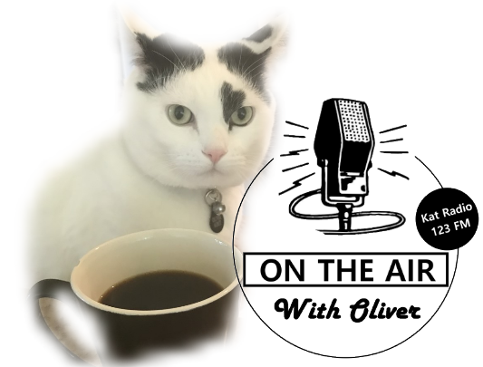 black and white cat radio host