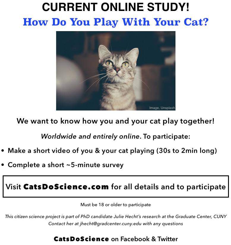 playWithYourCat