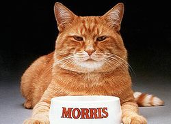 Morris