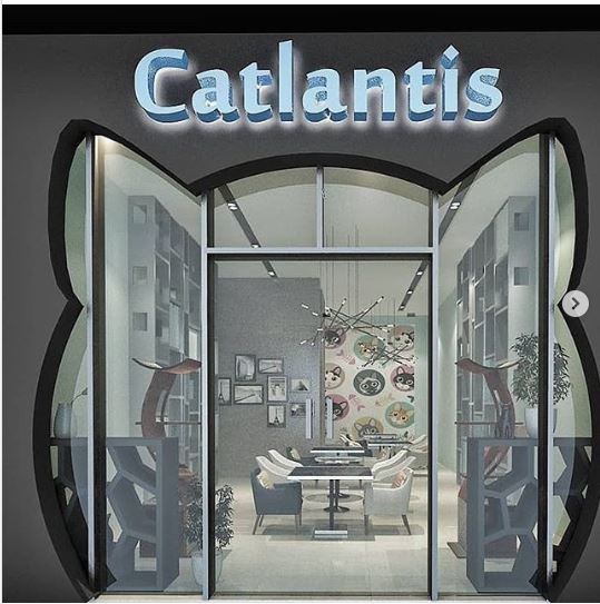 Catlantis
